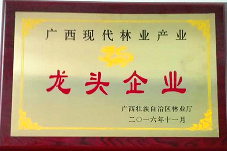 廣西現(xiàn)代林業(yè)產業(yè)龍頭企業(yè)